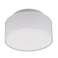 LED Ceiling Light