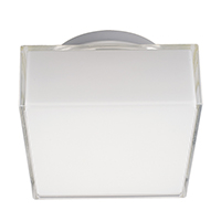 LED Ceiling Light