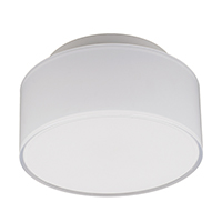 LED Ceiling Light
