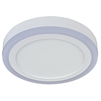 LED Ceiling Light