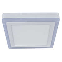 LED Ceiling Light