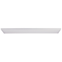 LED Ceiling Light
