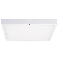 LED Ceiling Light, M599-30(RGB)
