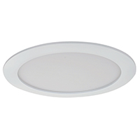 LED Down Light