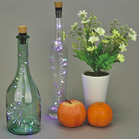 LED Bottle Light