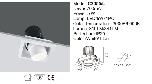 LED Down Light