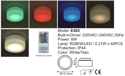 LED Ceiling Light