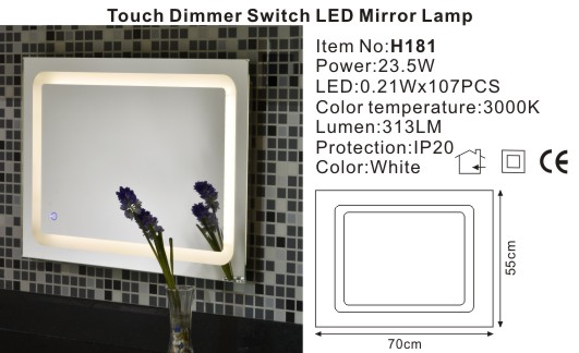 LED Mirror Lamp