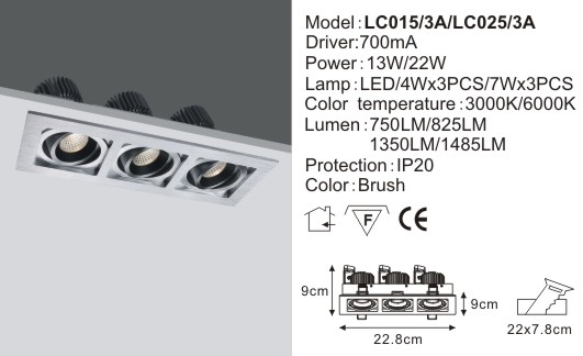 LED Down Light