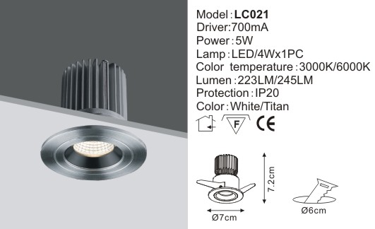LED Down Light