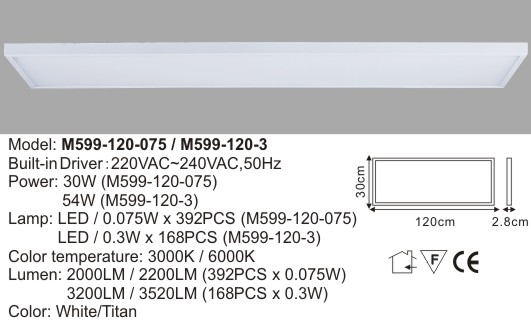 LED Ceiling Light