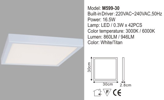 LED Ceiling Light