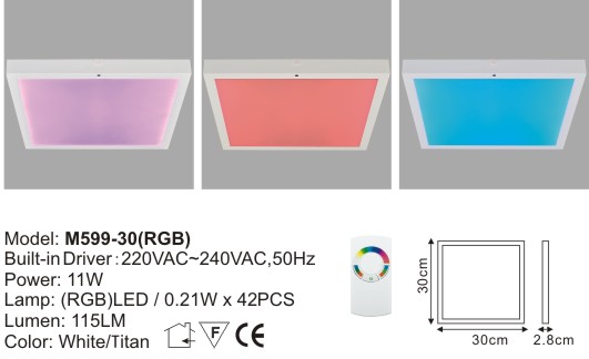 LED Ceiling Light