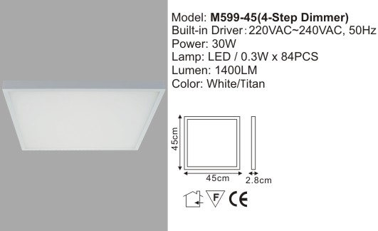 LED Ceiling Light
