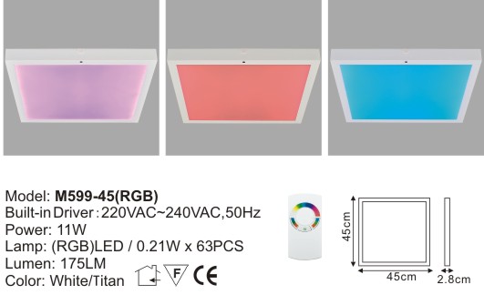 LED Ceiling Light