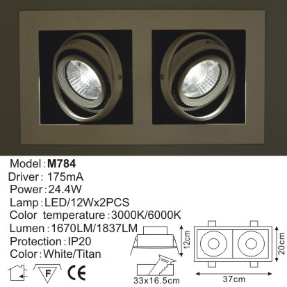 LED Down Light