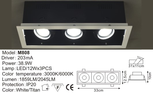 LED Down Light
