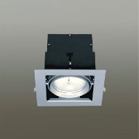 Sell Grille Down Light