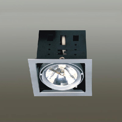 Sell Grille Down Light