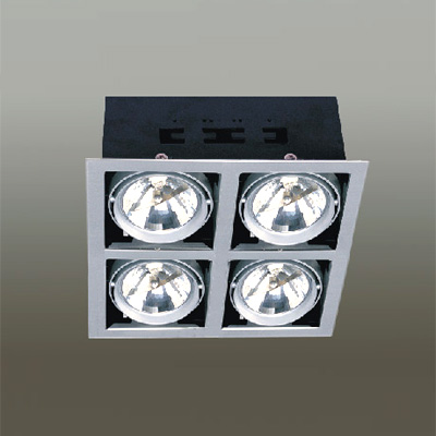 Sell Grille Down Light