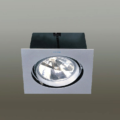 Sell Grille Down Light