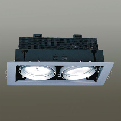 Sell Grille Down Light