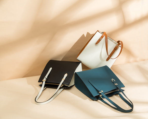 Laptop Bag / Briefcase / Tote Shoulder Bag for Office Ladies