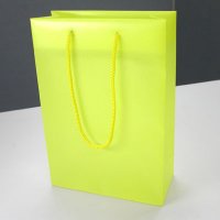 Paper Plastic Bag
