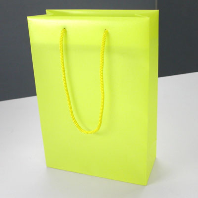 Paper Plastic Bag
