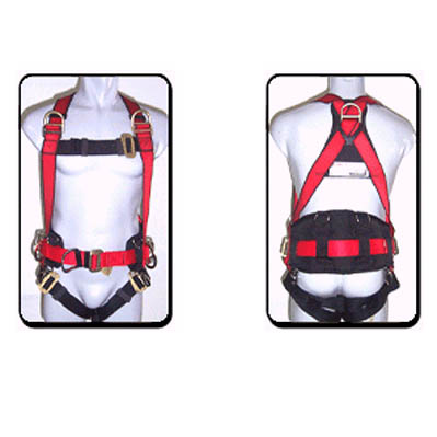  inchesSWELOCK inches K453S/K522 harness with positioning belt