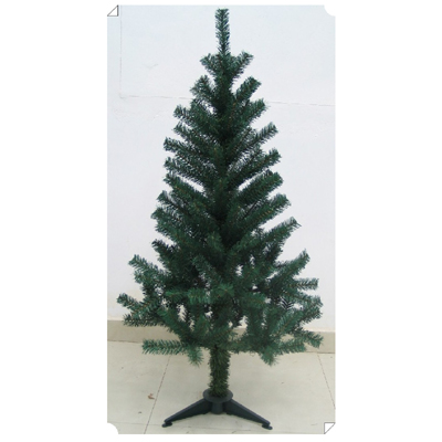 4' (120cm) Mountain Pine Tree