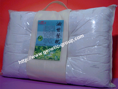 Sell 70x45cm Embolic Myrobalan Kapok Pillow