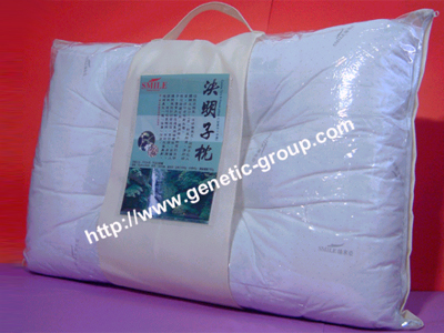 Sell 70x45cm Cassia Tora Kapok Pillow