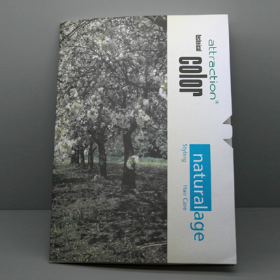 Full color printed promotional folder in fancy paper