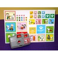 Water Transfer Decals