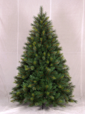 Sell Zurich pine 7ft (2.10M) tree