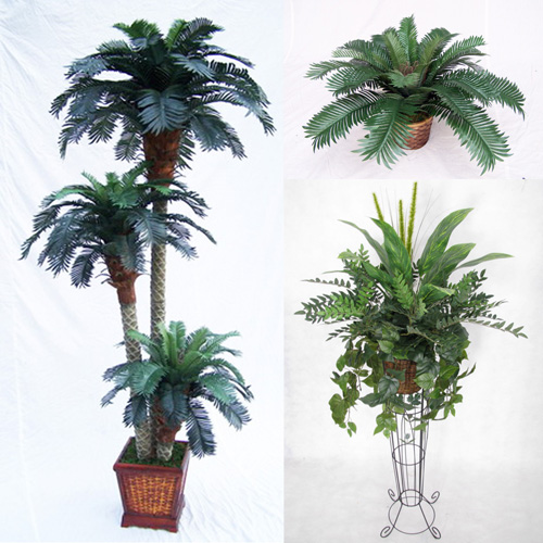 Trees & Foliage Arrangements