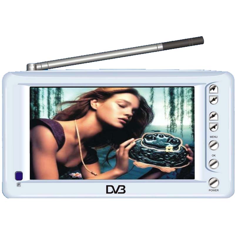 DVB-T (Digital Terrestrial Movable TV)