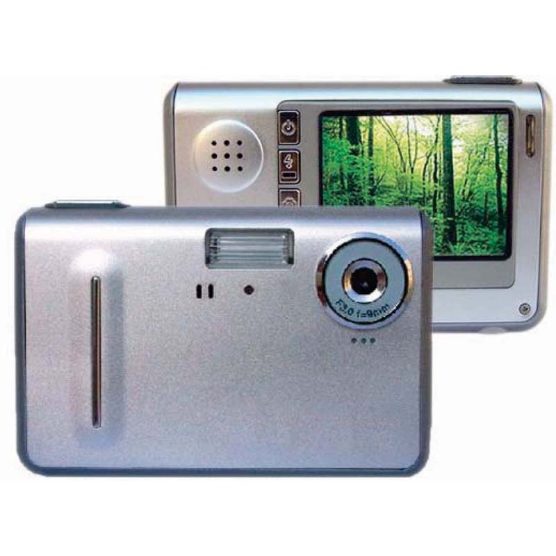 DSC (Digital Still Camera)