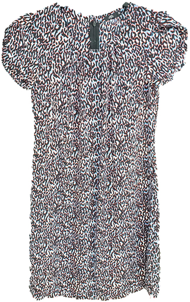 Silk Print Short Sleeves Dress