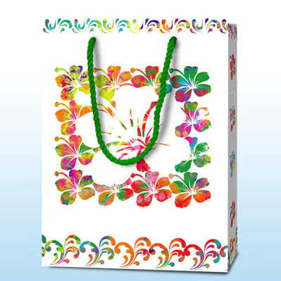 In house design paper bag