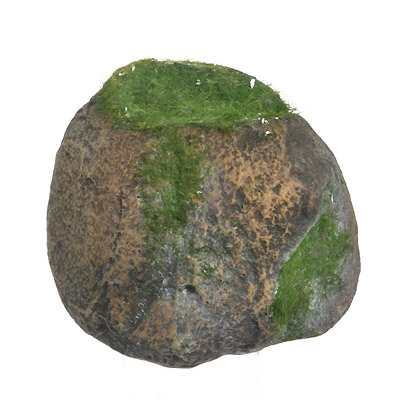95MM ROCK POT