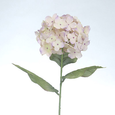 HYDRANGEA SPRAY X 1 (AUTUMN)