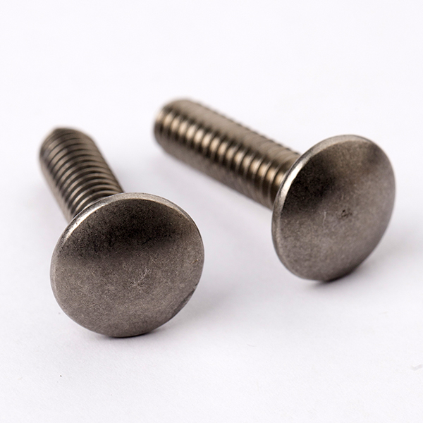 Carriage Screw