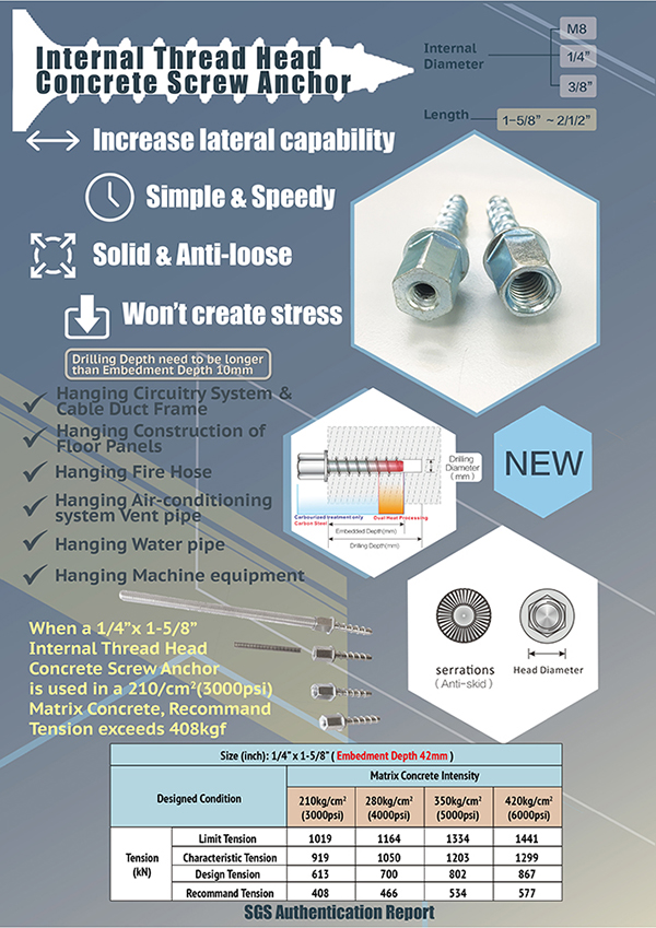 Internal Thread Head Concrete Screw Anchor