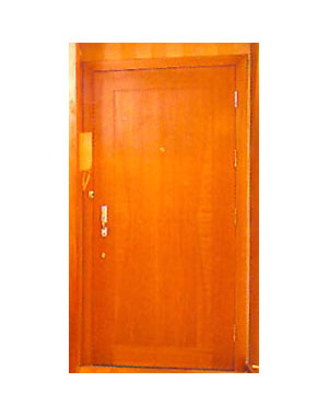 Action Fr 30 30 Half Hour Fire Resistant Door Action