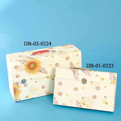 Paper Boxes Packaging