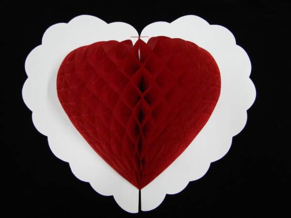 VG041 Wedding Accessories