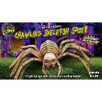 Crawling Skeleton Spider