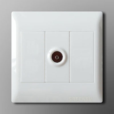 1 way with TV plug socket